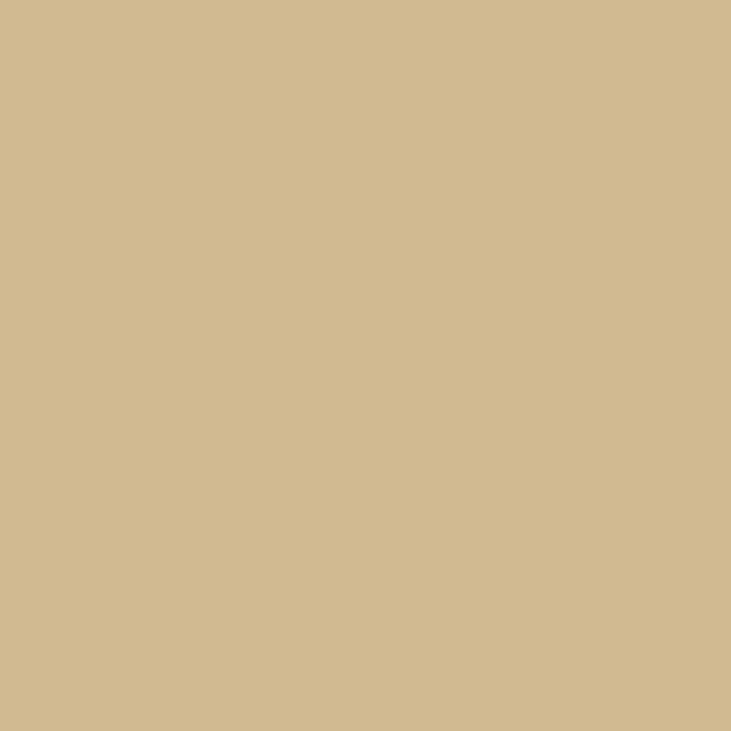 Sandstone Solid Color